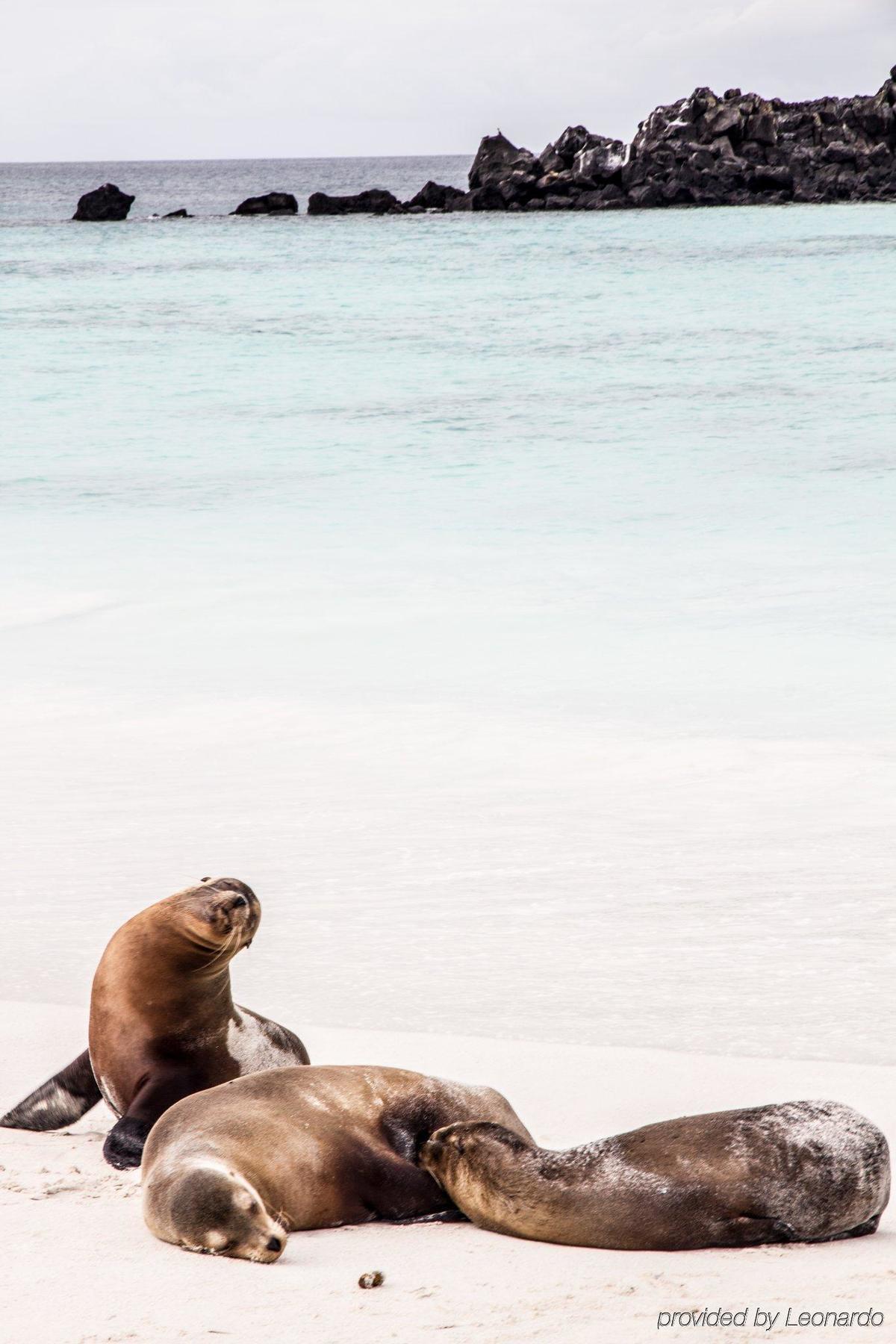 Finch Bay Galapagos Hotel Puerto Ayora  Dış mekan fotoğraf