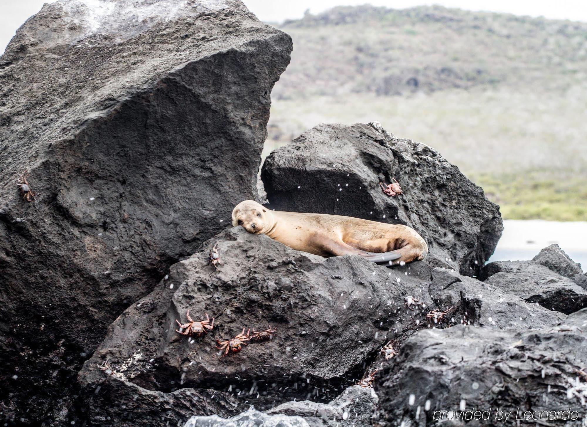 Finch Bay Galapagos Hotel Puerto Ayora  Dış mekan fotoğraf