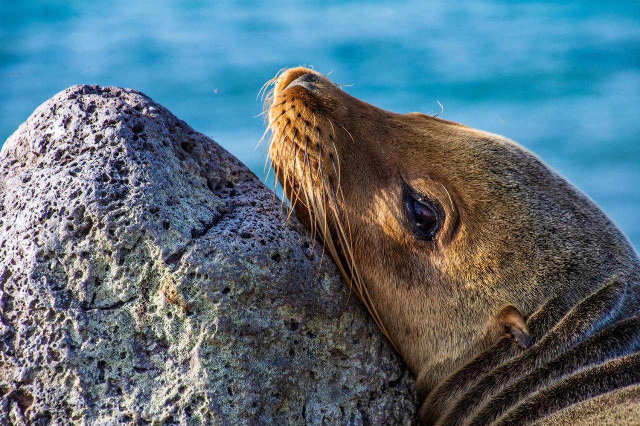 Finch Bay Galapagos Hotel Puerto Ayora  Dış mekan fotoğraf